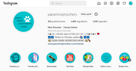 perfil instagram paraminipinschers