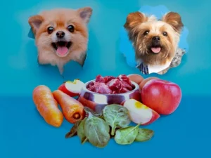 Los beneficios de la dieta BARF para perros: ¿Por qué considerarla para tu peludo? dieta barf perros