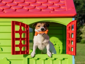 Casetas plegables para perros: solución práctica para tus viajes casetas-plegables-para-perros