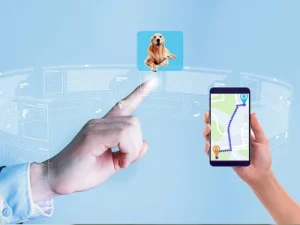 Localizador GPS para Perros: ¿Cómo Puede Ayudar a Tu Amigo Peludo? localizador gps para perros