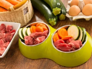 Alimentación natural para perros: La mejor opción para cuidar su salud alimentacion natural para perros