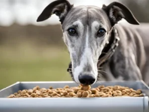 comedero elevado perros