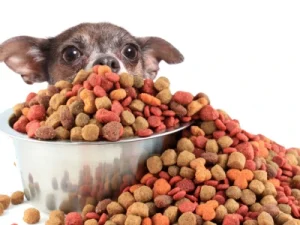 Los Mejores Piensos para Perros Pequeños piensos-para-perros-pequenos