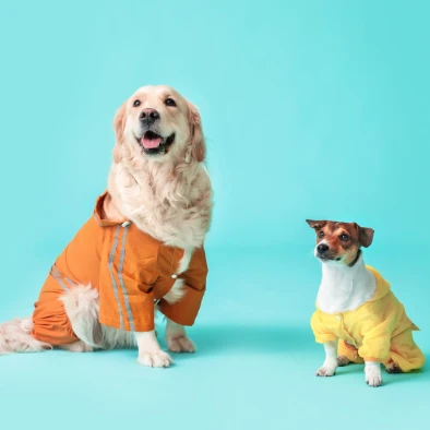 patrones de ropa para perros