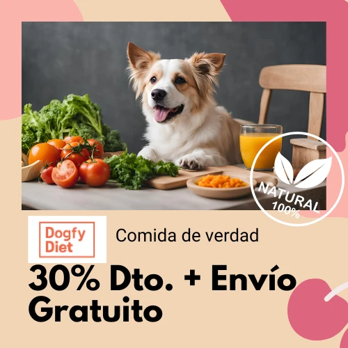 Prueba DOGFY DIET perriadictos promo