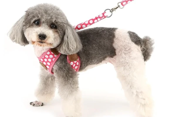 arnes lunares perros pequeños rosa