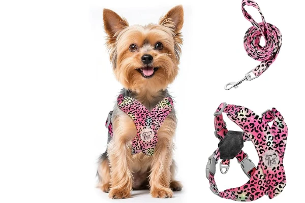 arnes rosa deportivo perros pequeños