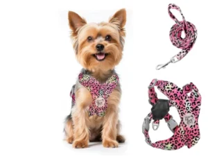 Los mejores arneses rosas para perritas pequeñas (según su personalidad) arneses rosa para perritas pequeñas