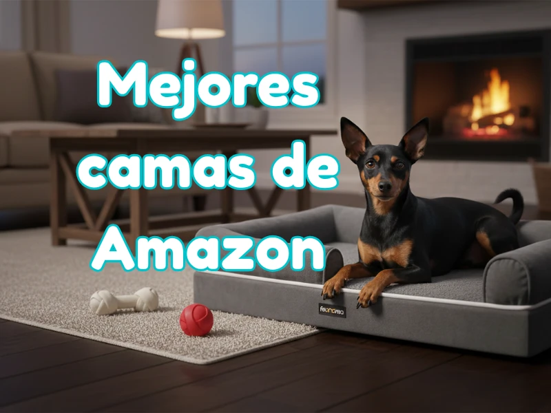mejores camas de amazon